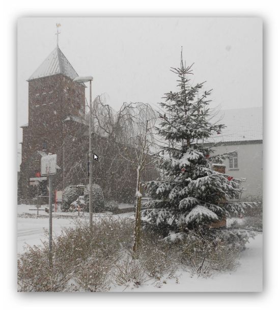 Baum Schnee -1