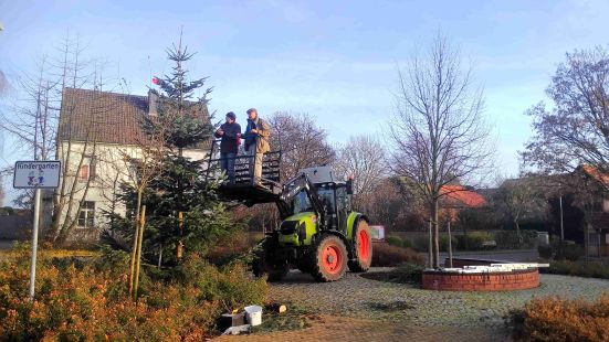 P 20141129 094330 klein 2